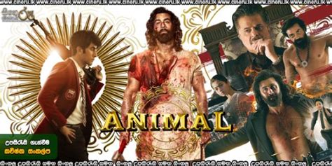 animal english subtitle|animal 2023 english subtitles download.